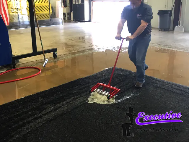 Pet Stain Removal Services