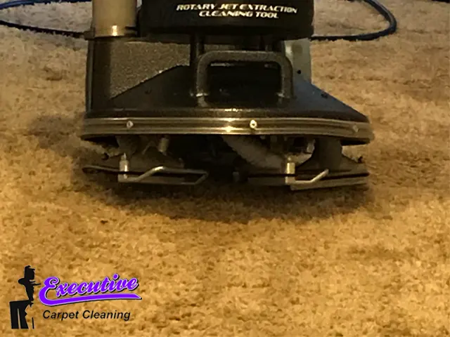 Area Rug Carpet Cleaning