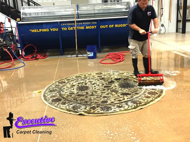 Pet Odor Removal