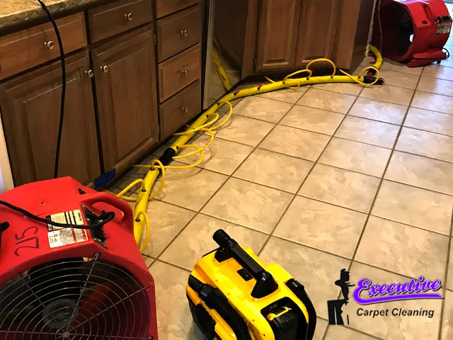 Water Damage Restoration