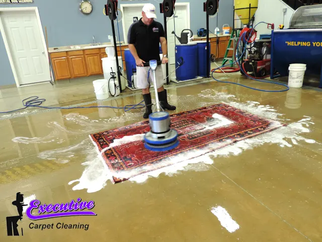 Oriental Rug and Carpet Cleaning Services