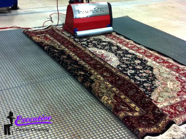 Dry Rug & Carpet Cleaning Services