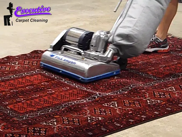 Dry Rug & Carpet Cleaning Services
