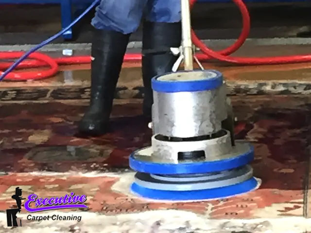 Tribal Rug Cleaning Services