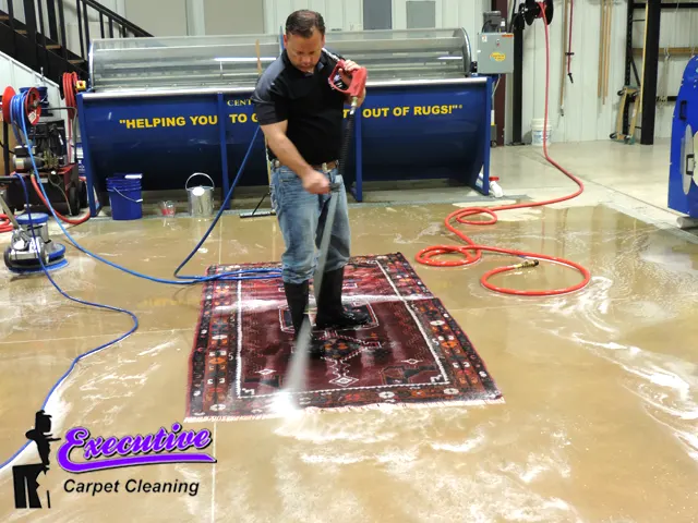 Rug Deep Cleaning