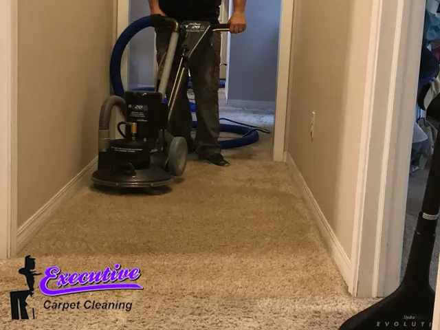 Oriental Carpet Cleaning