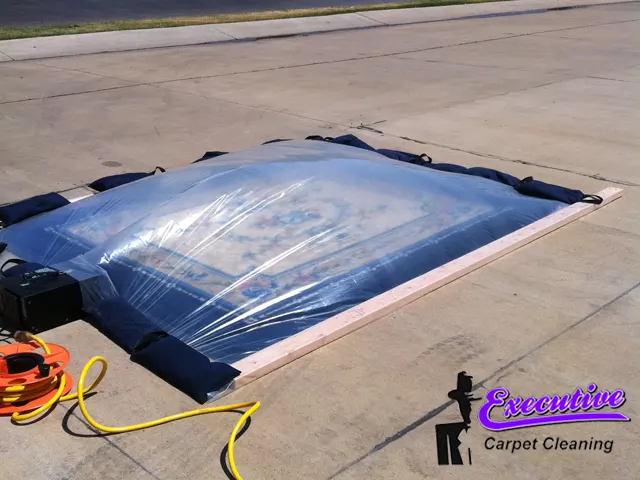 Water Removal Service