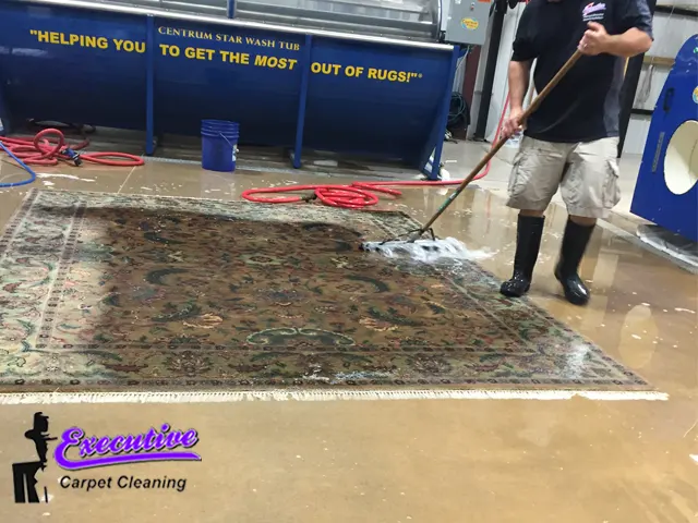 Area Rug and Carpet Cleaning