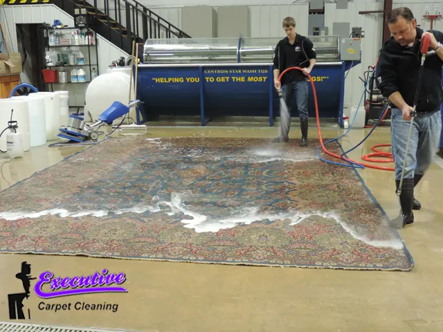 Area Rug and Carpet Cleaning