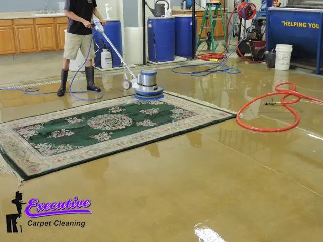 Oriental Carpet Cleaning