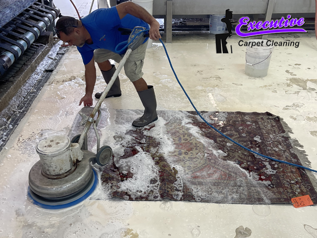 Area Rug Washing & Rinsing
