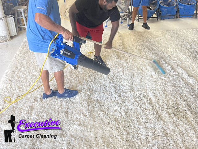Wool Rug & Carpet Cleaning