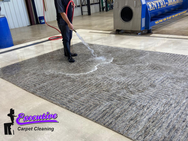 Carpet Cleaning